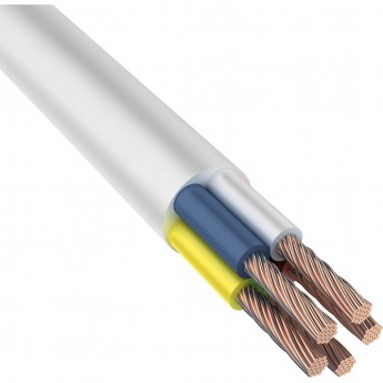 Провод REXANT ПВС 5x6.0 мм² соединительный белый 5 м Провод REXANT ПВС 5x6.0 мм² соединительный белый 5 м